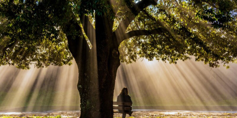 Por que insistimos em repetir os mesmos padrões emocionais?