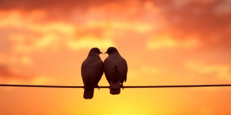 Quem te ama de verdade te incomoda, não te agrada